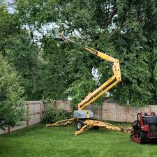 Best Lawn Mowing  in Vail, CO