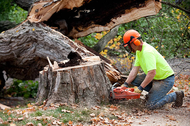 Soil Testing and Treatment in Vail, CO